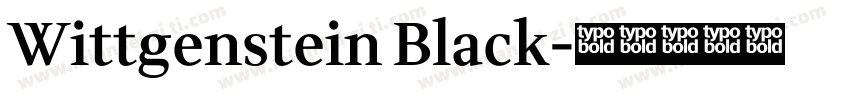 Wittgenstein Black字体转换
